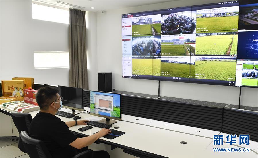 （新華全媒頭條&middot;走向我們的小康生活&middot;圖文互動(dòng)）（4）黑土地上是我家&mdash;&mdash;在吉林，一瞥中國(guó)東北鄉(xiāng)村美麗未來(lái)