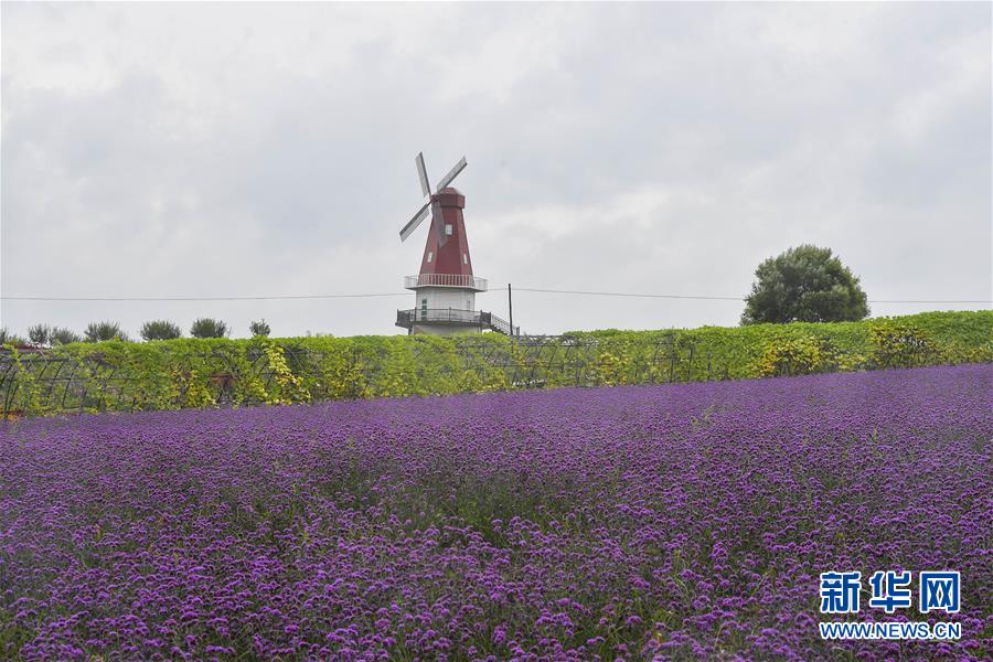 （新華全媒頭條&middot;走向我們的小康生活&middot;圖文互動(dòng)）（6）黑土地上是我家&mdash;&mdash;在吉林，一瞥中國(guó)東北鄉(xiāng)村美麗未來(lái)