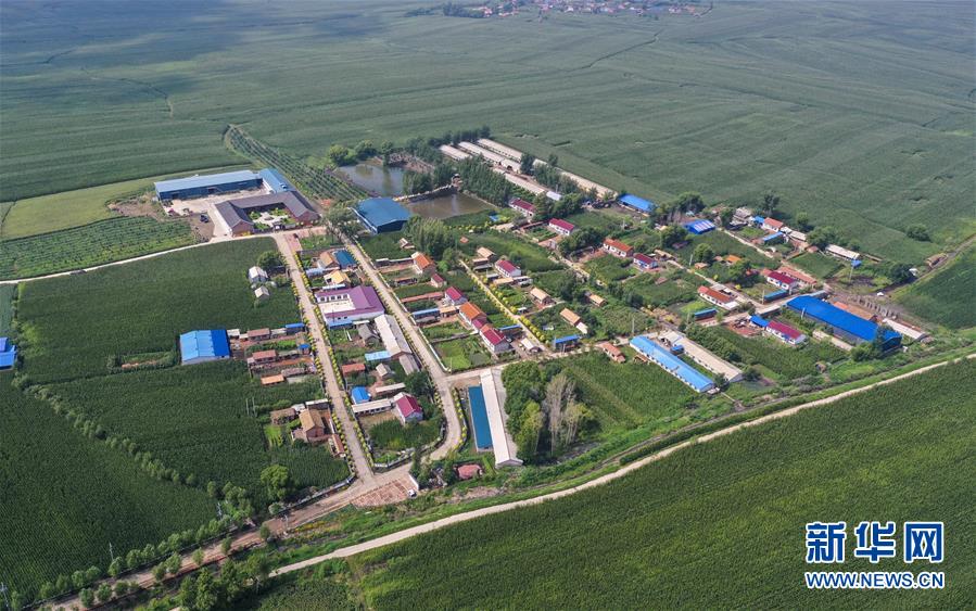 （新華全媒頭條&middot;走向我們的小康生活&middot;圖文互動(dòng)）（12）黑土地上是我家&mdash;&mdash;在吉林，一瞥中國(guó)東北鄉(xiāng)村美麗未來(lái)