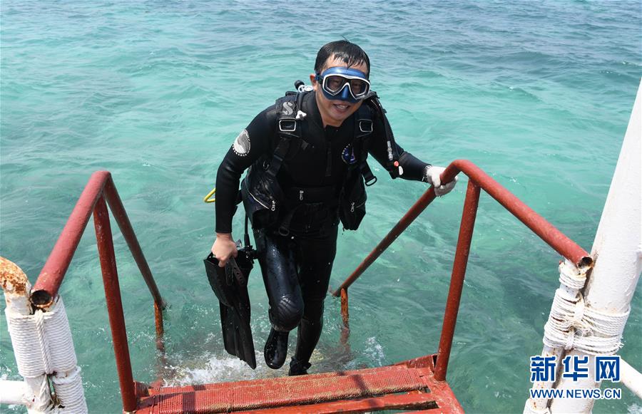 （在習(xí)近平新時(shí)代中國(guó)特色社會(huì)主義思想指引下&mdash;&mdash;新時(shí)代新作為新篇章&middot;習(xí)近平總書記關(guān)切事&middot;圖文互動(dòng)）（5）終不悔為國(guó)為民，攀高峰只爭(zhēng)朝夕&mdash;&mdash;來(lái)自科學(xué)家們的動(dòng)人故事