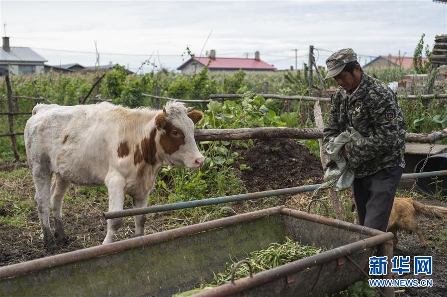 （決戰(zhàn)決勝脫貧攻堅&middot;圖文互動）（2）團結(jié)村的李輝新傳