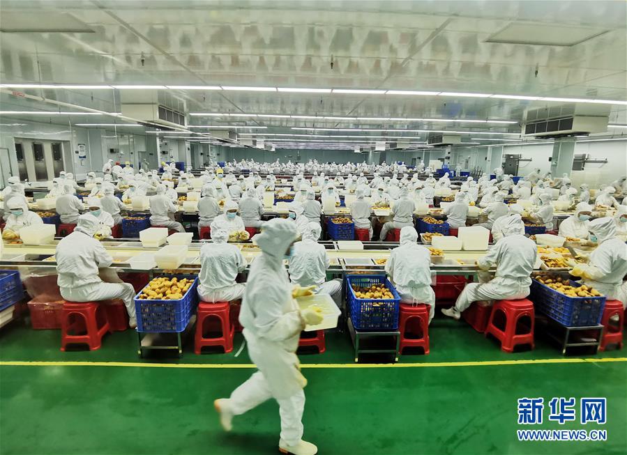 （決戰(zhàn)決勝脫貧攻堅(jiān)&middot;圖文互動(dòng)）（8）同飲一江水 攜手&ldquo;斬窮根&rdquo;&mdash;&mdash;深圳對(duì)口廣西河池、百色扶貧協(xié)作見聞