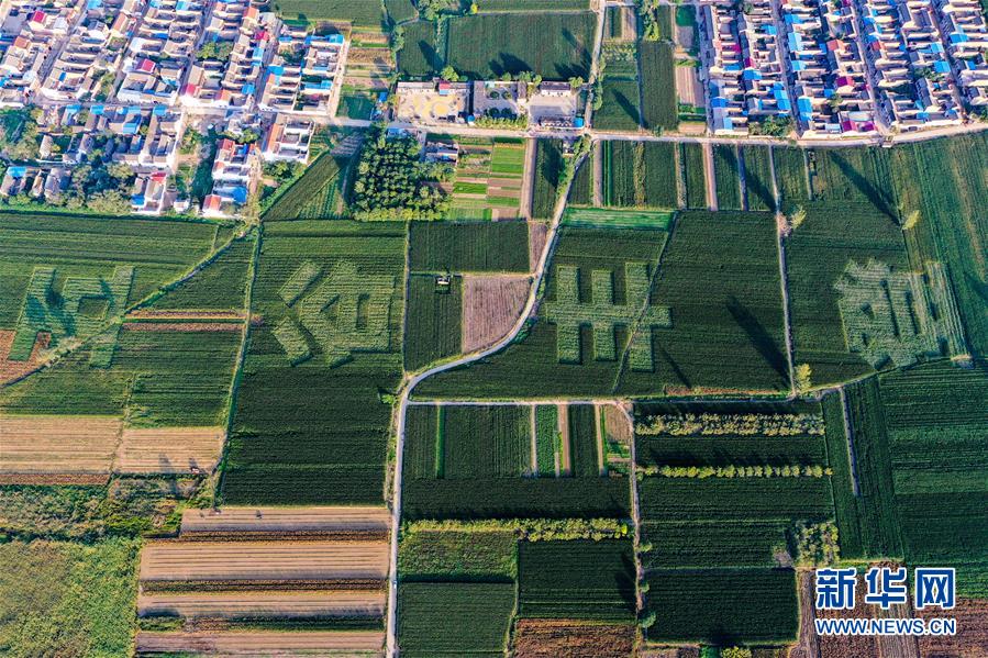 （新華全媒頭條&middot;圖文互動）（3）天道酬勤的大地贊歌&mdash;&mdash;寫在第三個中國農民豐收節(jié)之際