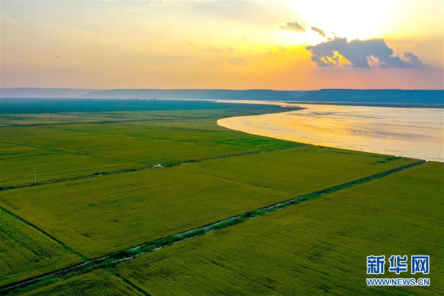 （新華全媒頭條&middot;圖文互動）（4）天道酬勤的大地贊歌&mdash;&mdash;寫在第三個中國農民豐收節(jié)之際