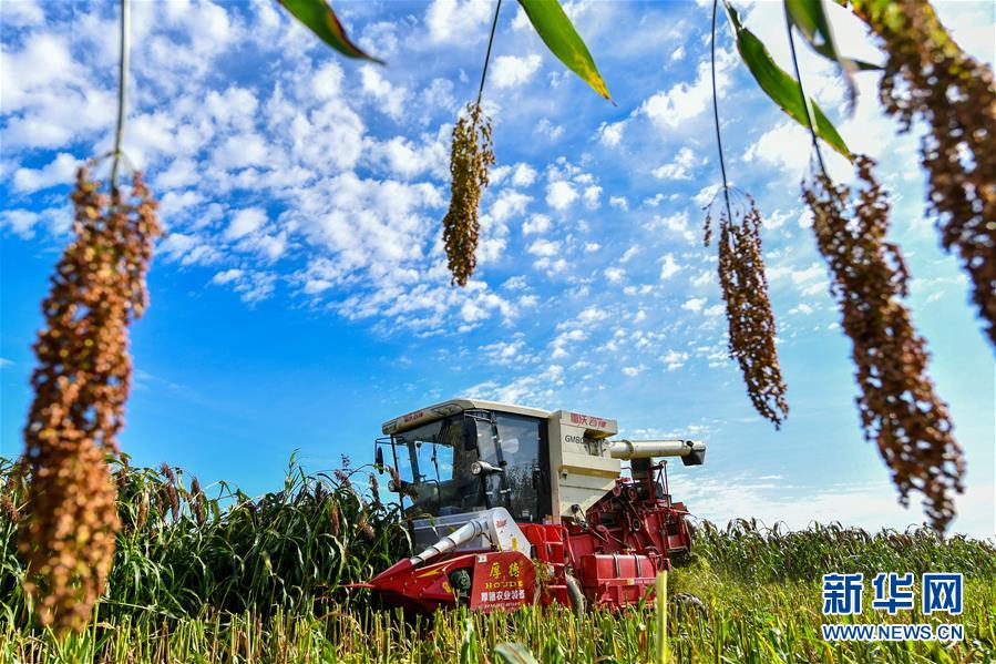 （新華全媒頭條&middot;圖文互動）（5）天道酬勤的大地贊歌&mdash;&mdash;寫在第三個中國農民豐收節(jié)之際