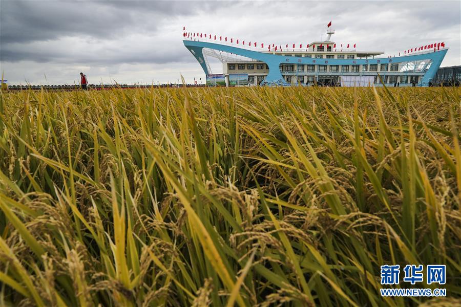 （新華全媒頭條&middot;圖文互動）（1）天道酬勤的大地贊歌&mdash;&mdash;寫在第三個中國農民豐收節(jié)之際