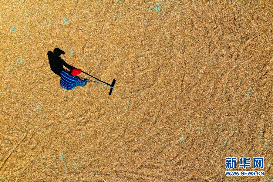 （新華全媒頭條&middot;圖文互動）（6）天道酬勤的大地贊歌&mdash;&mdash;寫在第三個中國農民豐收節(jié)之際
