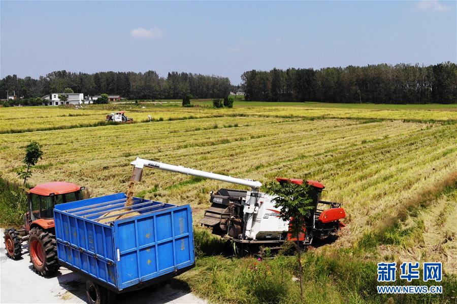 （新華全媒頭條&middot;圖文互動）（9）天道酬勤的大地贊歌&mdash;&mdash;寫在第三個中國農民豐收節(jié)之際