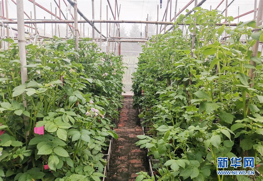 （新華全媒頭條&middot;圖文互動）（8）天道酬勤的大地贊歌&mdash;&mdash;寫在第三個中國農民豐收節(jié)之際