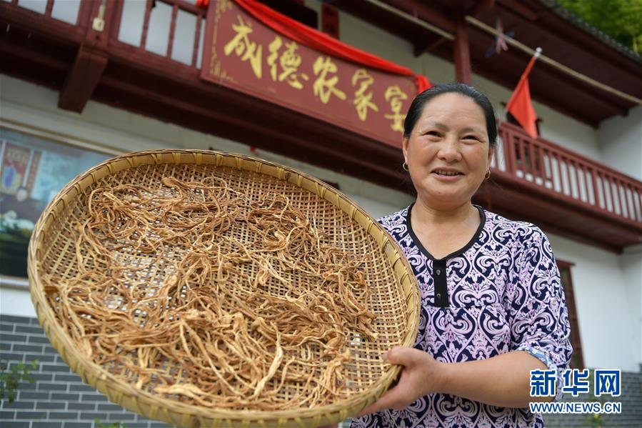 （新華全媒頭條&middot;走向我們的小康生活&middot;圖文互動）（4）神山村&ldquo;神奇&rdquo;何在？&mdash;&mdash;井岡山深處覓答案