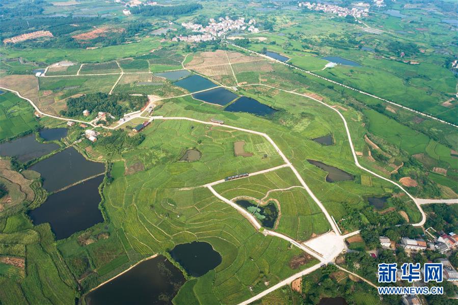 （新華全媒頭條&middot;走向我們的小康生活&middot;圖文互動(dòng)）（1）特殊之年，荊楚大地書(shū)寫(xiě)不平凡的答卷