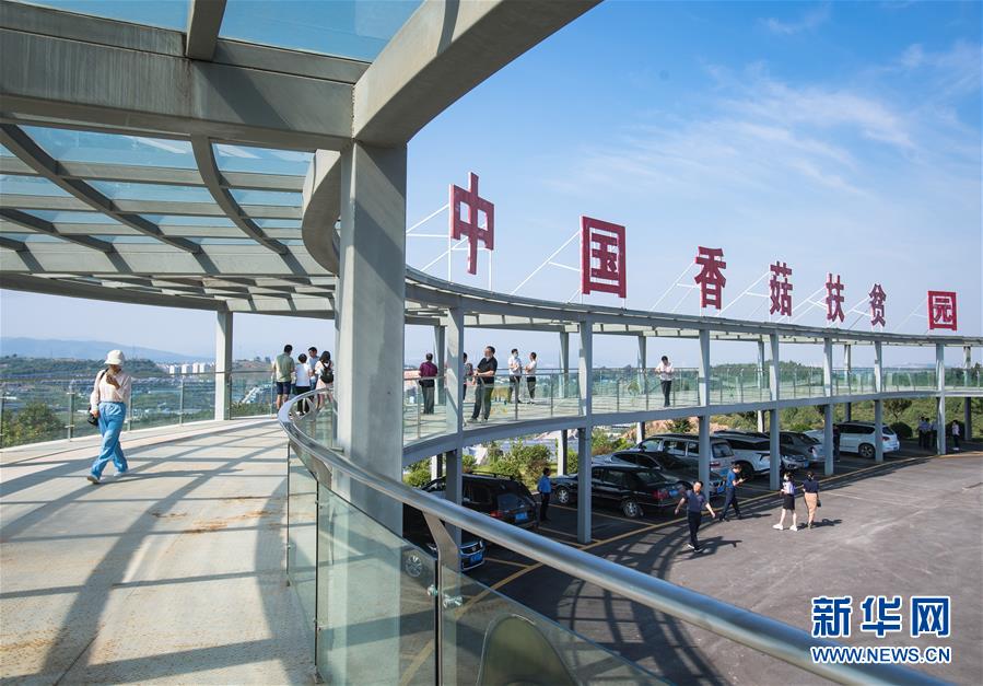 （新華全媒頭條&middot;走向我們的小康生活&middot;圖文互動(dòng)）（2）特殊之年，荊楚大地書(shū)寫(xiě)不平凡的答卷