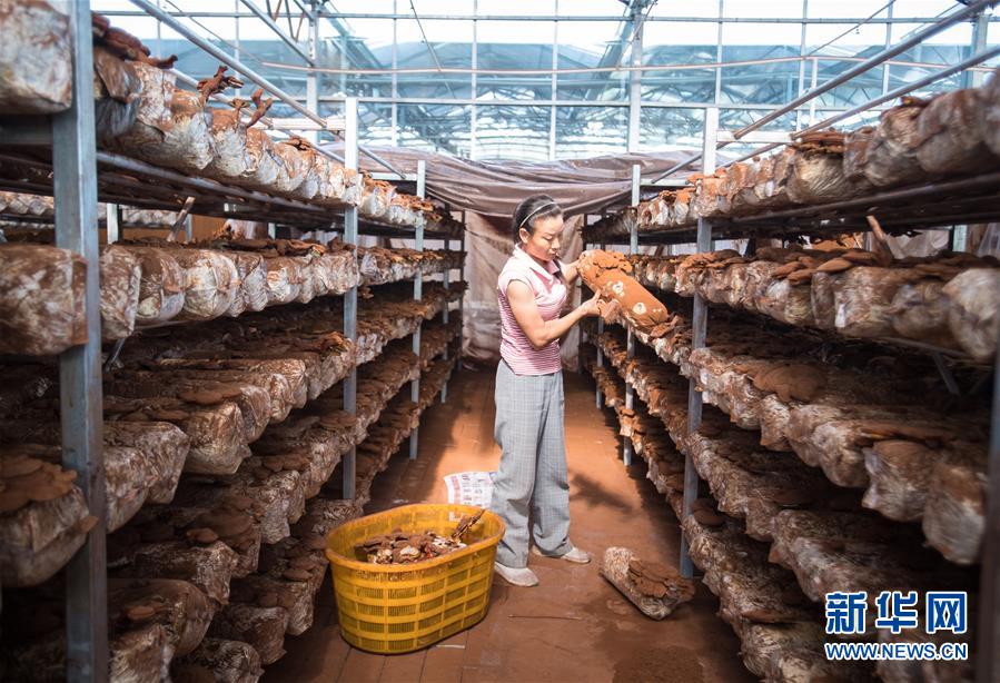 （新華全媒頭條&middot;走向我們的小康生活&middot;圖文互動(dòng)）（3）特殊之年，荊楚大地書(shū)寫(xiě)不平凡的答卷