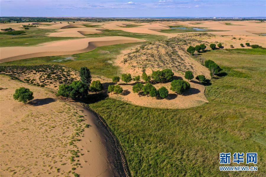 （在習(xí)近平新時(shí)代中國(guó)特色社會(huì)主義思想指引下&mdash;&mdash;新時(shí)代新作為新篇章&middot;習(xí)近平總書記關(guān)切事&middot;圖文互動(dòng)）（10）綠意，在黃沙中鋪展&mdash;&mdash;我國(guó)防沙治沙紀(jì)實(shí)