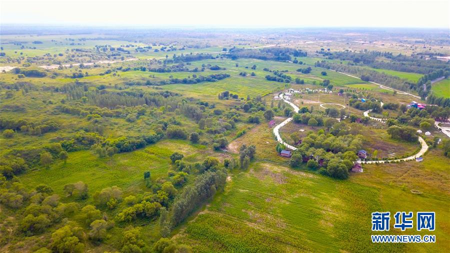 （在習(xí)近平新時(shí)代中國(guó)特色社會(huì)主義思想指引下&mdash;&mdash;新時(shí)代新作為新篇章&middot;習(xí)近平總書記關(guān)切事&middot;圖文互動(dòng)）（1）綠意，在黃沙中鋪展&mdash;&mdash;我國(guó)防沙治沙紀(jì)實(shí)
