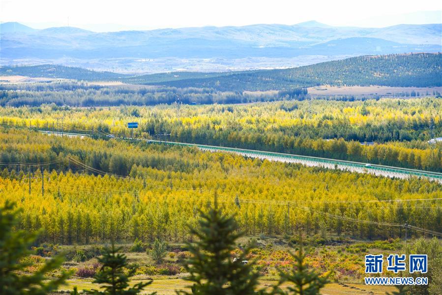 （在習(xí)近平新時(shí)代中國(guó)特色社會(huì)主義思想指引下&mdash;&mdash;新時(shí)代新作為新篇章&middot;習(xí)近平總書記關(guān)切事&middot;圖文互動(dòng)）（7）綠意，在黃沙中鋪展&mdash;&mdash;我國(guó)防沙治沙紀(jì)實(shí)