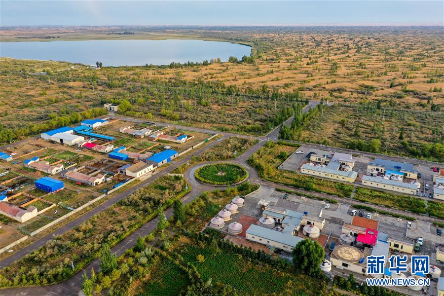 （在習(xí)近平新時(shí)代中國(guó)特色社會(huì)主義思想指引下&mdash;&mdash;新時(shí)代新作為新篇章&middot;習(xí)近平總書記關(guān)切事&middot;圖文互動(dòng)）（12）綠意，在黃沙中鋪展&mdash;&mdash;我國(guó)防沙治沙紀(jì)實(shí)