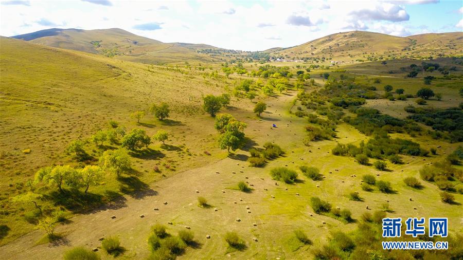 （在習(xí)近平新時(shí)代中國(guó)特色社會(huì)主義思想指引下&mdash;&mdash;新時(shí)代新作為新篇章&middot;習(xí)近平總書記關(guān)切事&middot;圖文互動(dòng)）（4）綠意，在黃沙中鋪展&mdash;&mdash;我國(guó)防沙治沙紀(jì)實(shí)