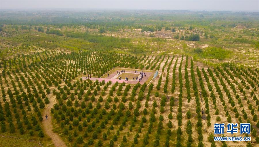（在習(xí)近平新時(shí)代中國(guó)特色社會(huì)主義思想指引下&mdash;&mdash;新時(shí)代新作為新篇章&middot;習(xí)近平總書記關(guān)切事&middot;圖文互動(dòng)）（2）綠意，在黃沙中鋪展&mdash;&mdash;我國(guó)防沙治沙紀(jì)實(shí)