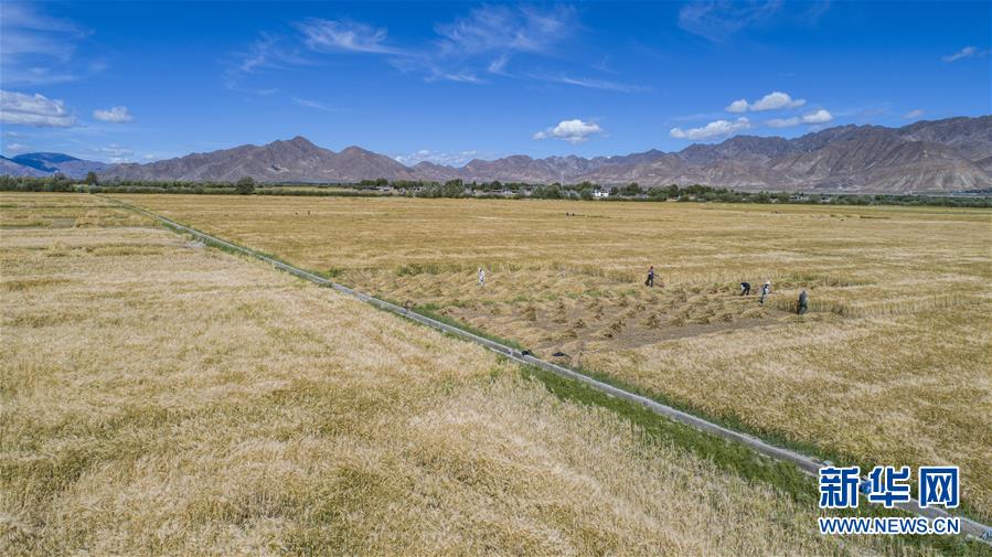 （新華全媒頭條&middot;走向我們的小康生活&middot;圖文互動(dòng)）（11）扎西德勒，我們的新家園&mdash;&mdash;西藏易地扶貧搬遷搬出幸福美好新生活