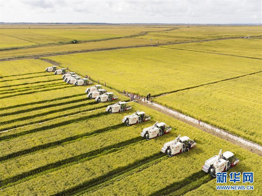 （新華全媒頭條&middot;圖文互動(dòng)）（15）奮斗結(jié)碩果，再寫新篇章&mdash;&mdash;寫在共和國(guó)71周年華誕之際