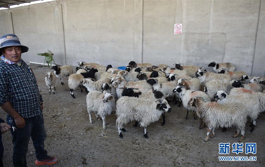 (集中連片特困地區(qū)貧困村調(diào)研行·圖文互動(dòng))(4)長(zhǎng)江源村人的兩個(gè)家和幸福夢(mèng)——青海格爾木市長(zhǎng)江源村脫貧調(diào)查