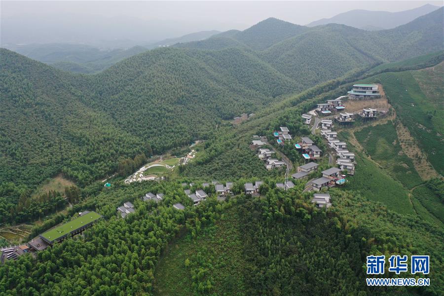 (新華全媒頭條·圖文互動(dòng))(8)“綠”從天目盎然出——湖州做好“六穩(wěn)”工作落實(shí)“六保”任務(wù)新觀察