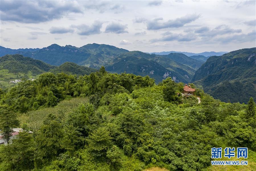 (新華全媒頭條·走向我們的小康生活·決戰(zhàn)決勝脫貧攻堅·圖文互動)(9)昭通之變——全國貧困人口最多的地級市跨越記