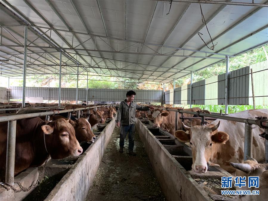 （新華全媒頭條&middot;圖文互動）（3）決戰(zhàn)千山萬弄間&mdash;&mdash;廣西&ldquo;極貧角落&rdquo;最后攻堅(jiān)記