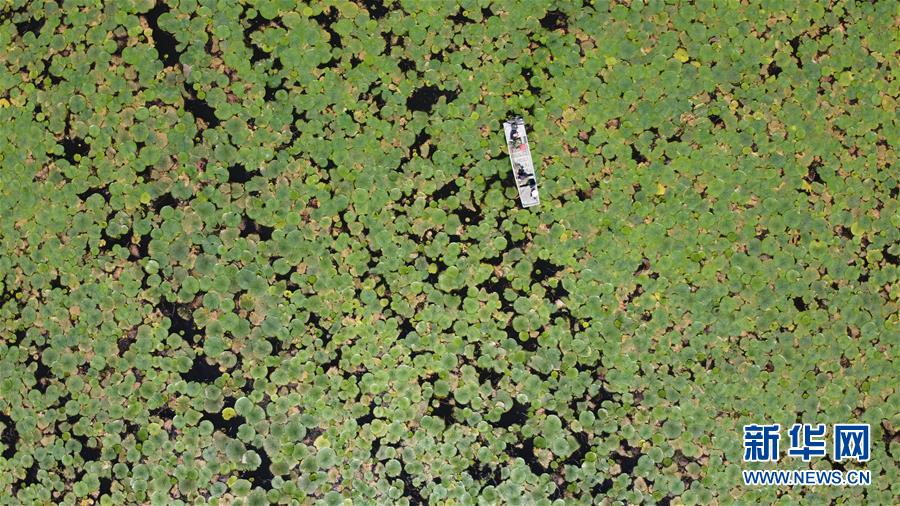 （新華全媒頭條&middot;圖文互動(dòng)）（3）長(zhǎng)淮新&ldquo;斗水&rdquo;記&mdash;&mdash;寫(xiě)在新中國(guó)治淮70年之時(shí)