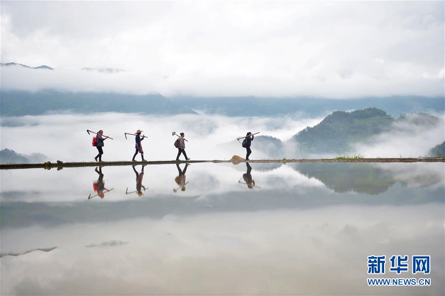 #(新華視界)(7)影像回眸“十三五”——綠色發(fā)展