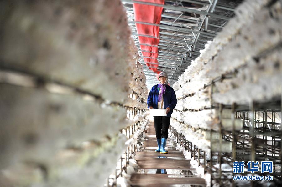 （習近平的小康故事&middot;圖文互動）（6）&ldquo;我很期盼的一件事，就是讓鄉(xiāng)親們飽餐一頓肉&rdquo;&mdash;&mdash;習近平和脫貧攻堅的故事