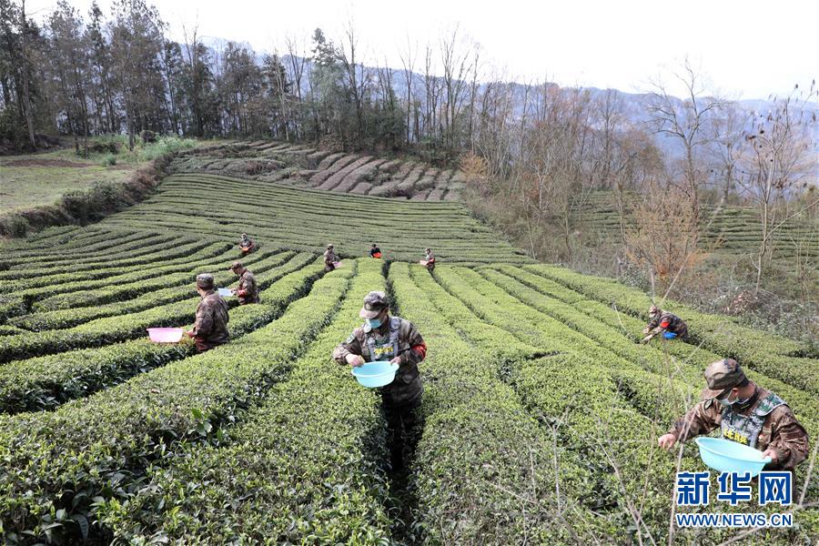（圖文互動）（2）百舸爭流千帆競&mdash;&mdash;&ldquo;十三五&rdquo;期間國防動員事業(yè)取得歷史性突破