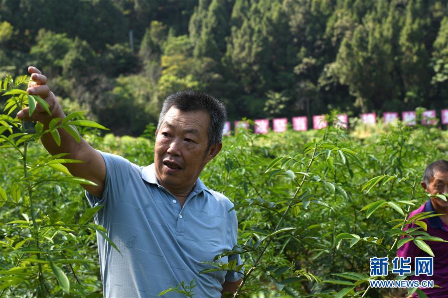（決戰(zhàn)決勝脫貧攻堅&middot;圖文互動）（4）&ldquo;堵槍眼&rdquo;的脫貧戰(zhàn)怎么打？&mdash;&mdash;繼光村見聞