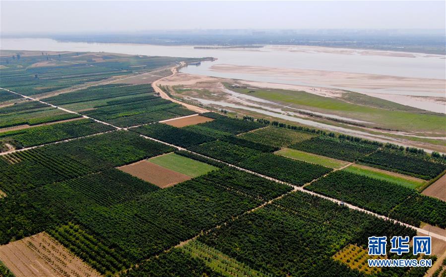 （新華全媒頭條&middot;圖文互動(dòng)）（9）從&ldquo;四亂&rdquo;突出到生態(tài)修復(fù) 黃河漸成中原&ldquo;綠飄帶&rdquo;