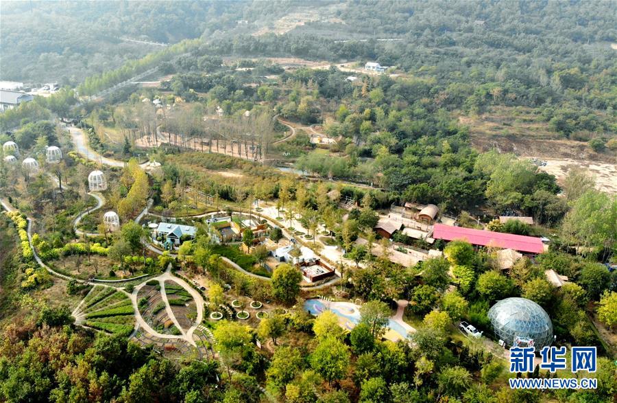 （全面建成小康社會&ldquo;百城千縣萬村調(diào)研行&rdquo;&middot;圖文互動）（2）青島西海岸新區(qū)以&ldquo;生態(tài)酵母&rdquo;激活鄉(xiāng)村振興