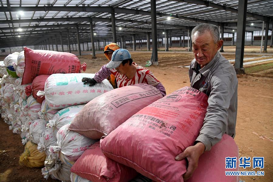 （全面建成小康社會&ldquo;百城千縣萬村調(diào)研行&rdquo;&middot;圖文互動）（6）青島西海岸新區(qū)以&ldquo;生態(tài)酵母&rdquo;激活鄉(xiāng)村振興