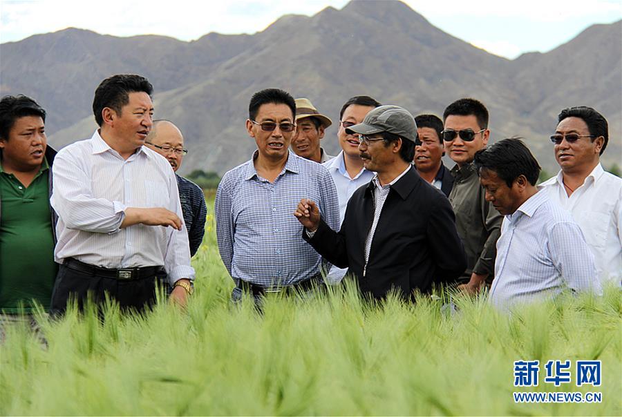 （新華全媒頭條&middot;圖文互動(dòng)）（2）愿做高原一粒種 化作金穗撒人間&mdash;&mdash;追記我國青稞研究專家尼瑪扎西
