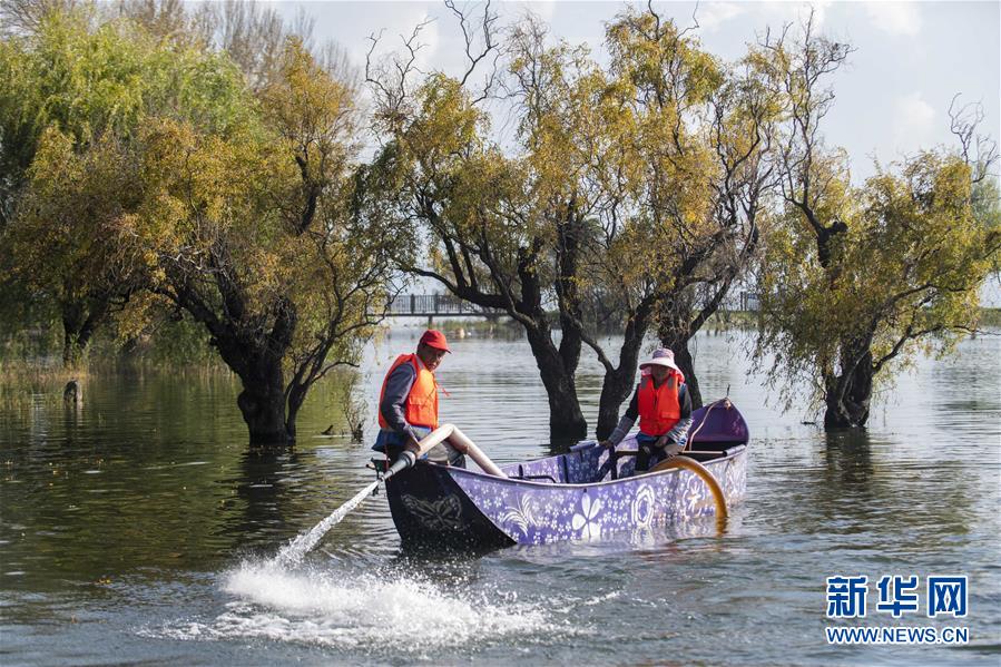 （新華全媒頭條&middot;五中全會精神在基層&middot;圖文互動）（9）奮發(fā)新青年　逐夢新征程&mdash;&mdash;各地青年學習貫徹落實五中全會精神觀察