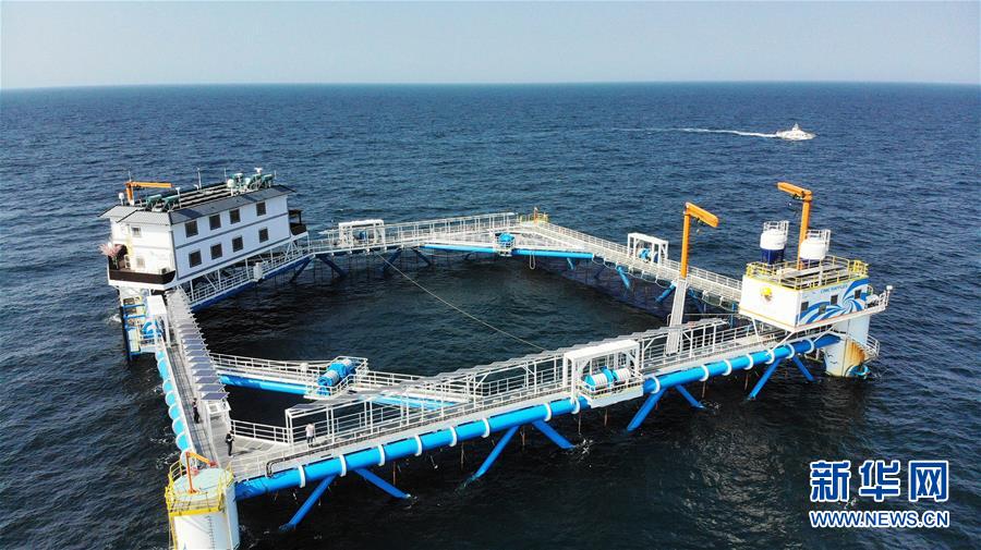 （新華全媒頭條&middot;圖文互動(dòng)）（1）&ldquo;拔&rdquo;海起牧場(chǎng) &ldquo;耕&rdquo;海新牧歌