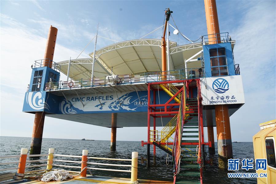 （新華全媒頭條&middot;圖文互動(dòng)）（9）&ldquo;拔&rdquo;海起牧場(chǎng) &ldquo;耕&rdquo;海新牧歌