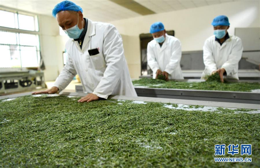 （新華全媒頭條&middot;圖文互動）（22）從人民中汲取磅礴力量&mdash;&mdash;習近平總書記同出席2020年全國兩會人大代表、政協(xié)委員共商國是紀實