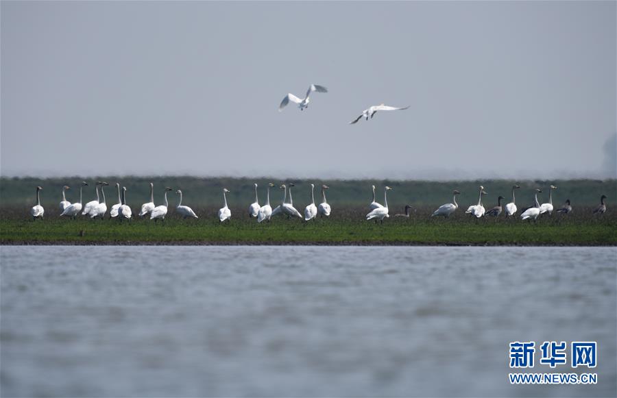 (新華全媒頭條·圖文互動)(11)潮起東方萬象新——以習(xí)近平同志為核心的黨中央團結(jié)帶領(lǐng)全黨全軍全國各族人民貫徹落實黨的十九大精神紀實