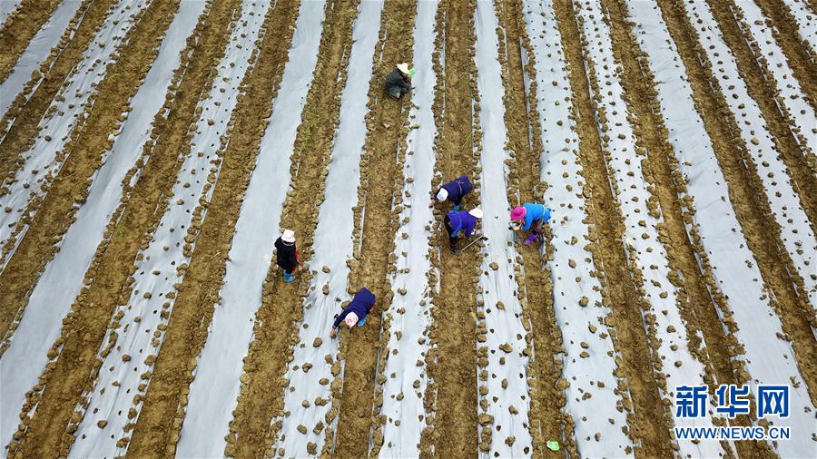 （在習(xí)近平新時代中國特色社會主義思想指引下&mdash;&mdash;新時代新作為新篇章&middot;習(xí)近平總書記關(guān)切事&middot;圖文互動）（8）啃下最后的硬骨頭&mdash;&mdash;脫貧攻堅掛牌督戰(zhàn)進行時