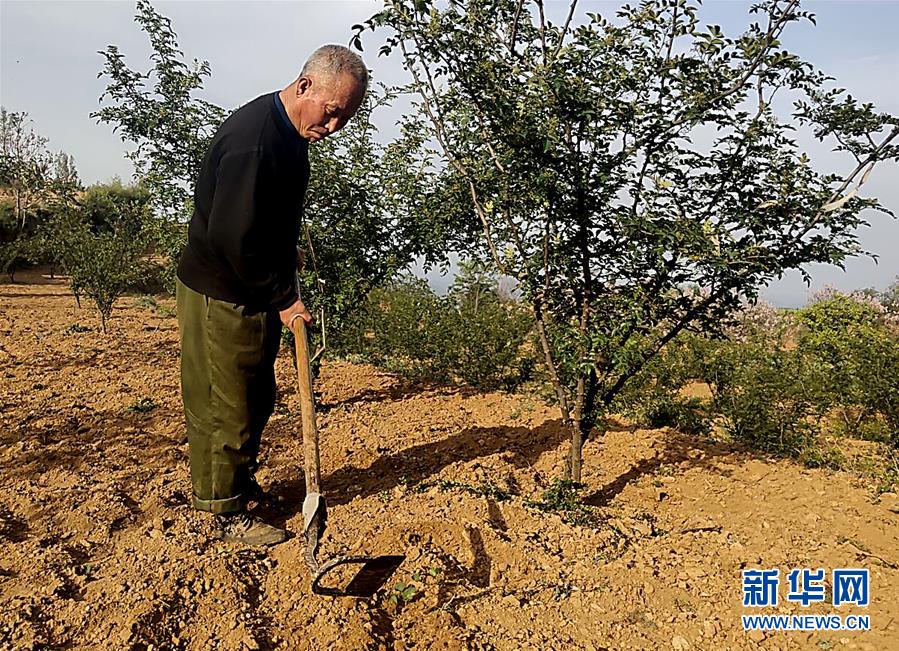 （新華全媒頭條&middot;圖文互動(dòng)）（4）春天里的5個(gè)&ldquo;戰(zhàn)貧&rdquo;瞬間&mdash;&mdash;習(xí)近平總書(shū)記關(guān)于脫貧攻堅(jiān)決策部署指引攻克最后的深貧堡壘