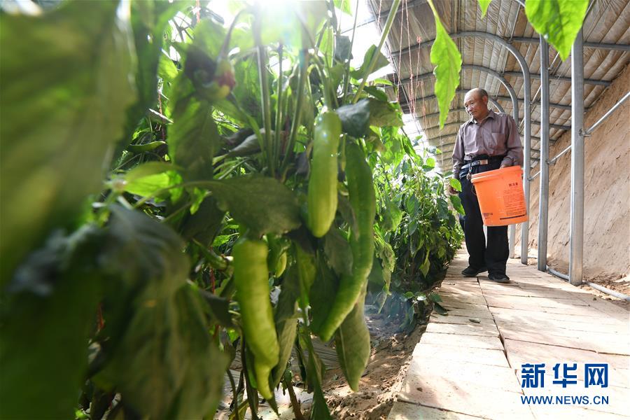 （新華全媒頭條&middot;圖文互動(dòng)）（15）春天里的5個(gè)&ldquo;戰(zhàn)貧&rdquo;瞬間&mdash;&mdash;習(xí)近平總書(shū)記關(guān)于脫貧攻堅(jiān)決策部署指引攻克最后的深貧堡壘