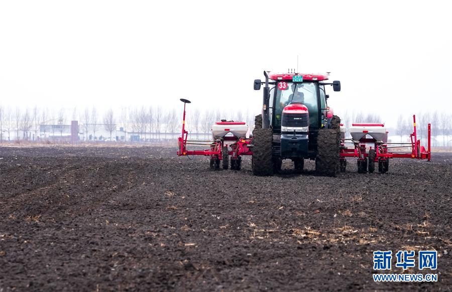 （在習(xí)近平新時(shí)代中國(guó)特色社會(huì)主義思想指引下&mdash;&mdash;新時(shí)代新作為新篇章&middot;習(xí)近平總書記關(guān)切事&middot;圖文互動(dòng)）（10）春耕忙 信心足&mdash;&mdash;谷雨時(shí)節(jié)走馬東北直擊糧事