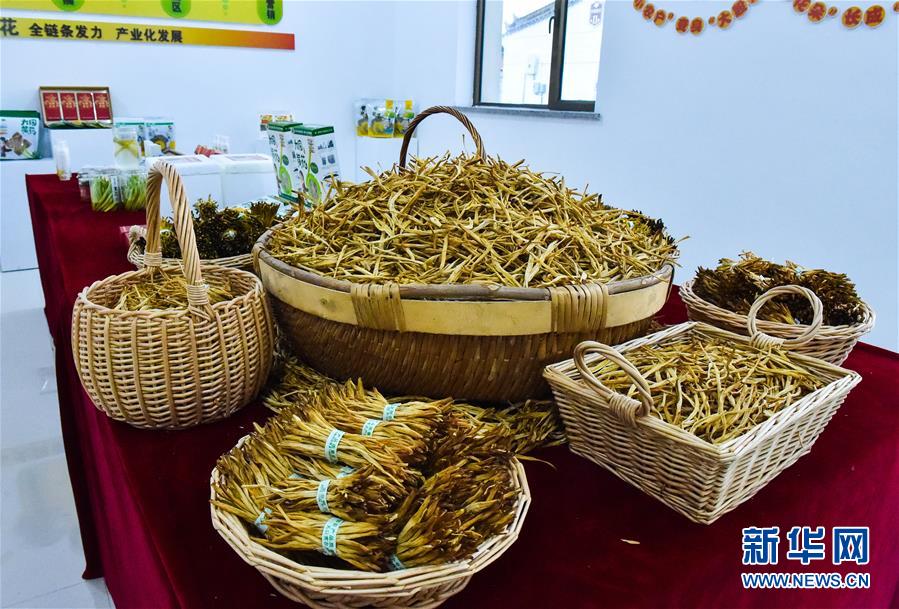 （新華全媒頭條&middot;圖文互動）（3）初夏，循著總書記的腳步探訪產(chǎn)業(yè)扶貧新事