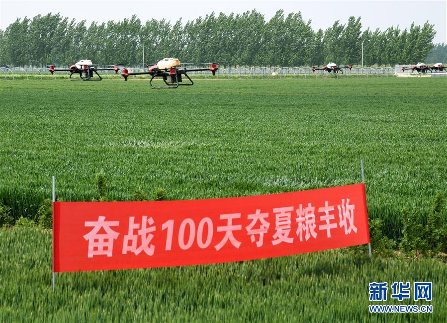 （在習(xí)近平新時(shí)代中國(guó)特色社會(huì)主義思想指引下&mdash;&mdash;新時(shí)代新作為新篇章&middot;習(xí)近平總書記關(guān)切事&middot;圖文互動(dòng)）（9）新農(nóng)事、新希望&mdash;&mdash;夏收前田間新動(dòng)態(tài)掃描