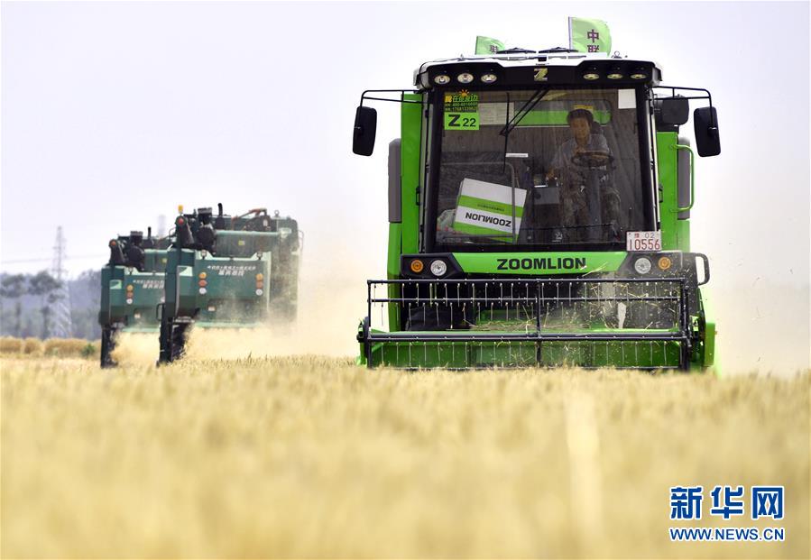 （在習(xí)近平新時(shí)代中國(guó)特色社會(huì)主義思想指引下&mdash;&mdash;新時(shí)代新作為新篇章&middot;習(xí)近平總書記關(guān)切事&middot;圖文互動(dòng)）（12）讓農(nóng)民挑上&ldquo;金扁擔(dān)&rdquo;&mdash;&mdash;農(nóng)業(yè)現(xiàn)代化的生動(dòng)實(shí)踐掃描